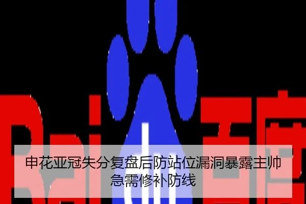 申花亚冠失分复盘后防站位漏洞暴露主帅急需修补防线