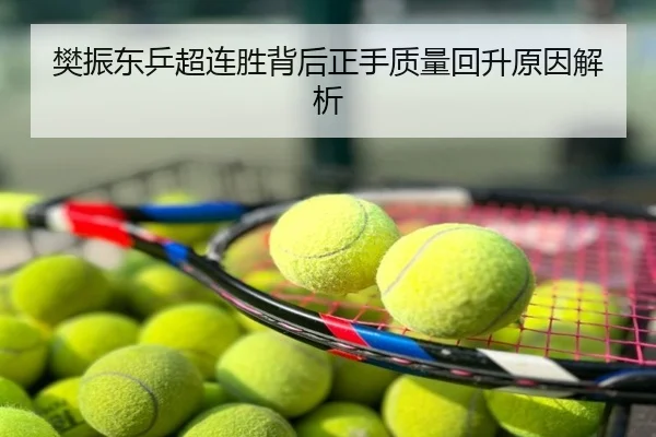 樊振东乒超连胜背后正手质量回升原因解析